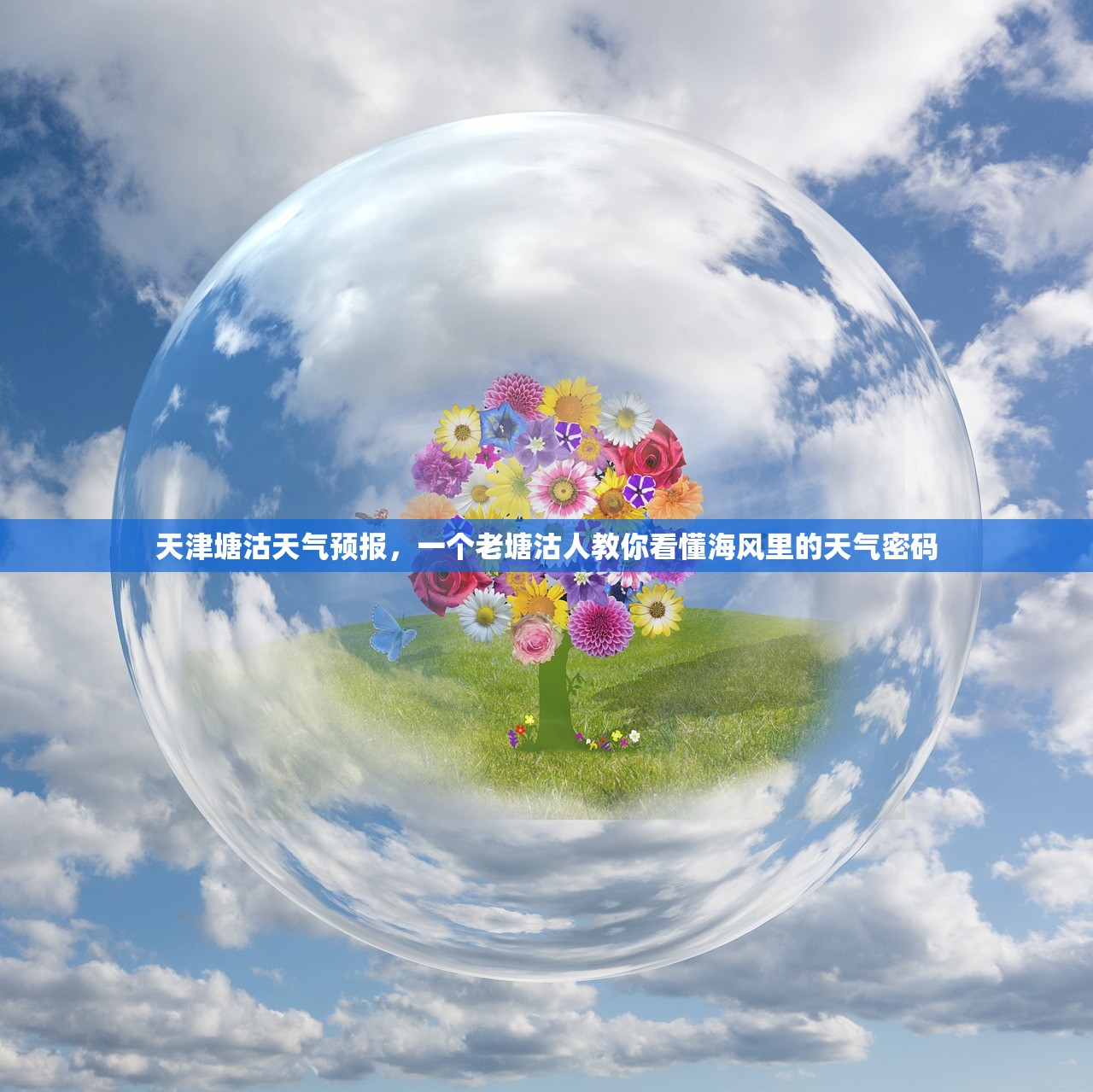 天津塘沽天气预报,一个老塘沽人教你看懂海风里的天气密码 天津塘沽天气预报,一个老塘沽人教你看懂海风里的天气密码