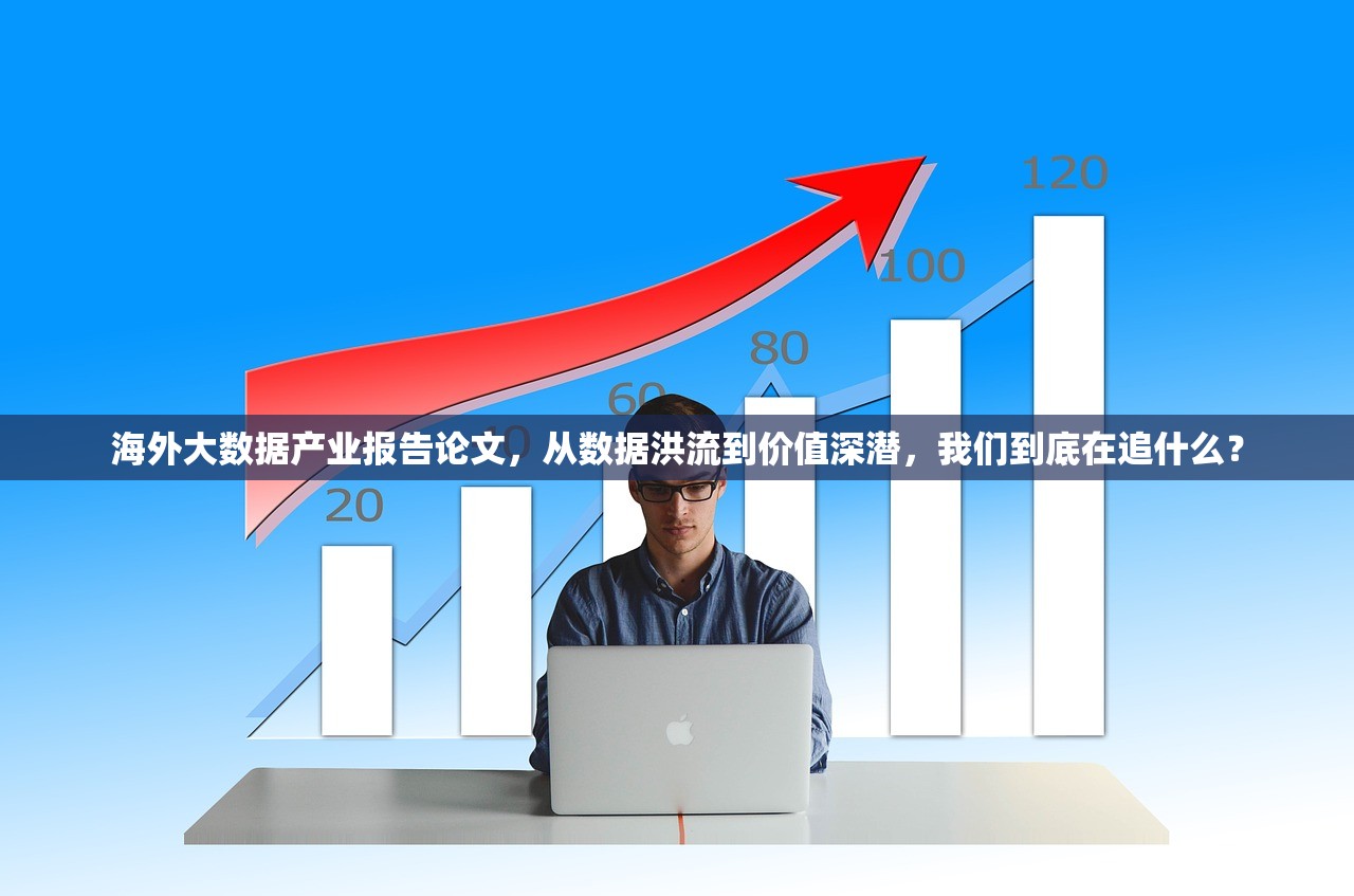 海外大数据产业报告论文，从数据洪流到价值深潜，我们到底在追什么？