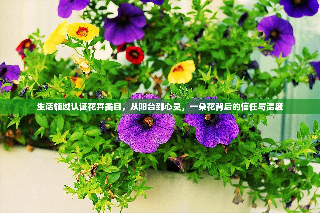 生活领域认证花卉类目，从阳台到心灵，一朵花背后的信任与温度
