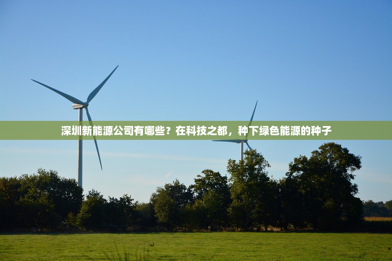 深圳新能源公司有哪些？在科技之都，种下绿色能源的种子