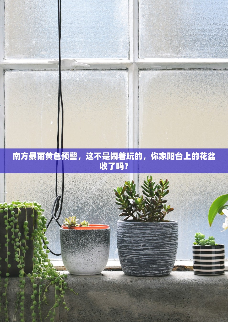 南方暴雨黄色预警，这不是闹着玩的，你家阳台上的花盆收了吗？