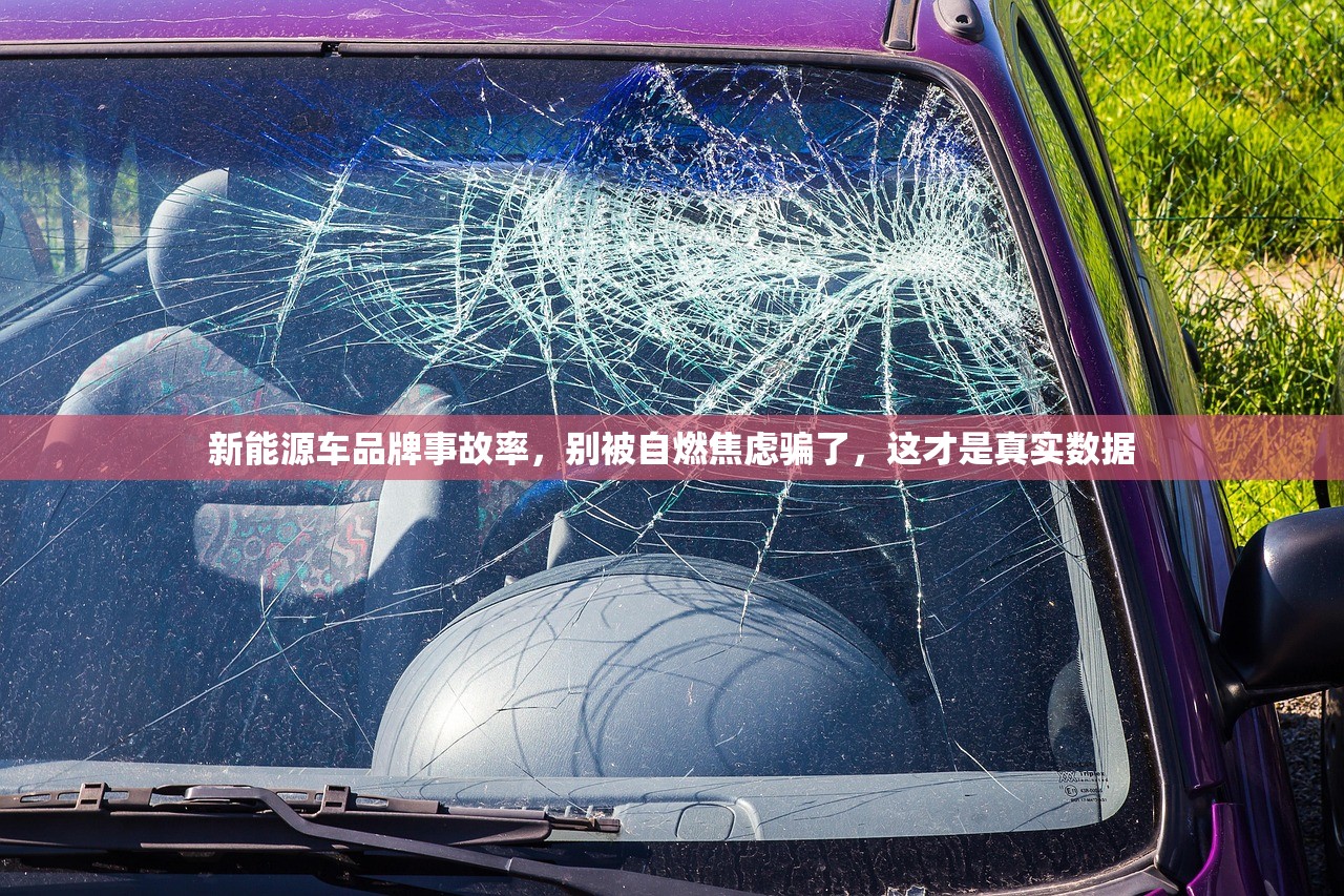 新能源车品牌事故率，别被自燃焦虑骗了，这才是真实数据