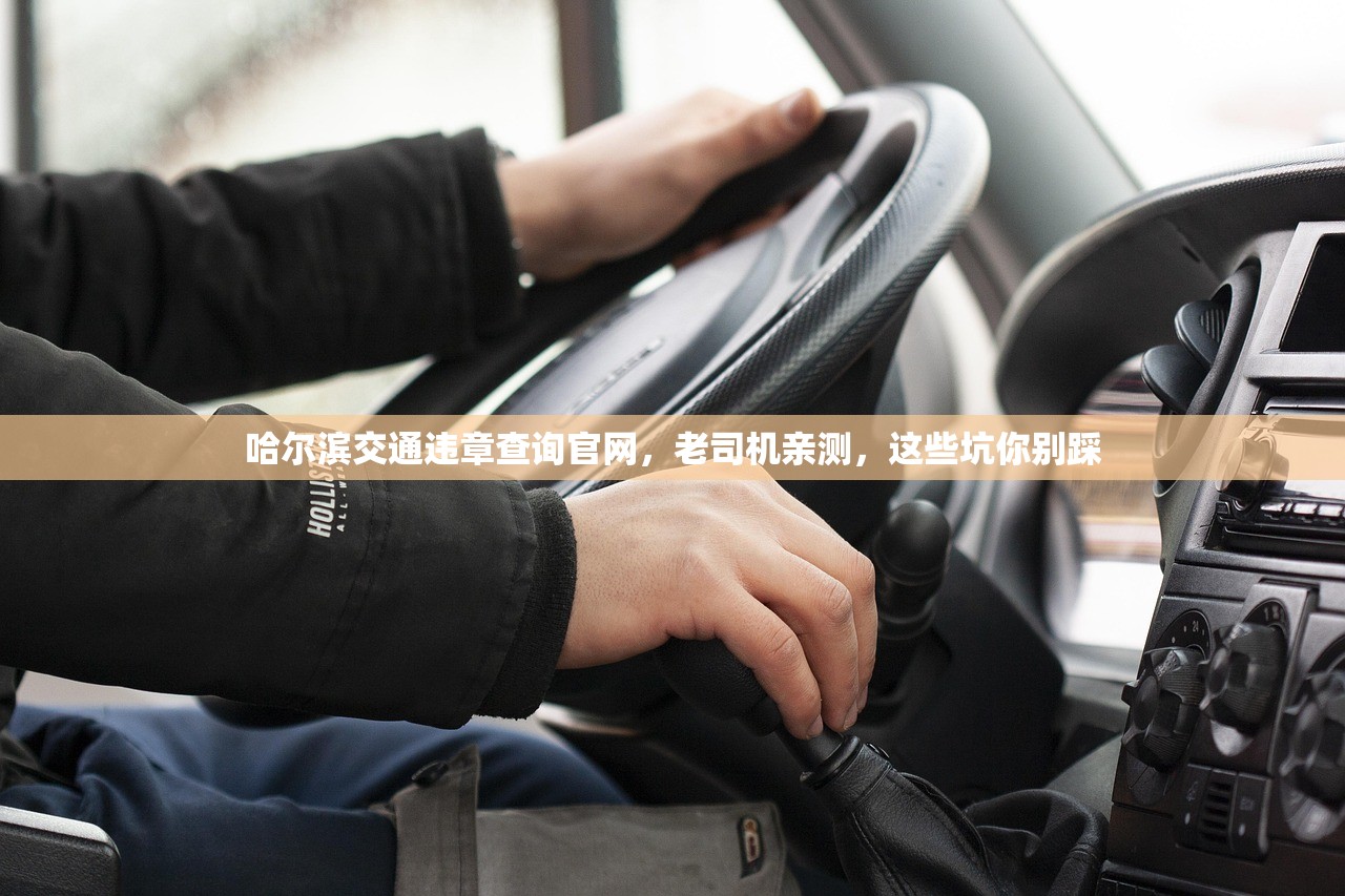 哈尔滨交通违章查询官网，老司机亲测，这些坑你别踩