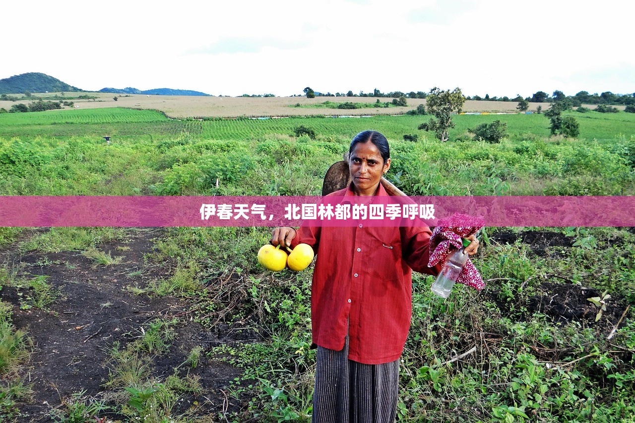 伊春天气，北国林都的四季呼吸