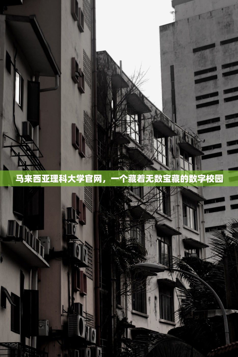 马来西亚理科大学官网，一个藏着无数宝藏的数字校园