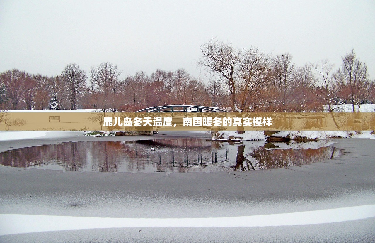 鹿儿岛冬天温度，南国暖冬的真实模样