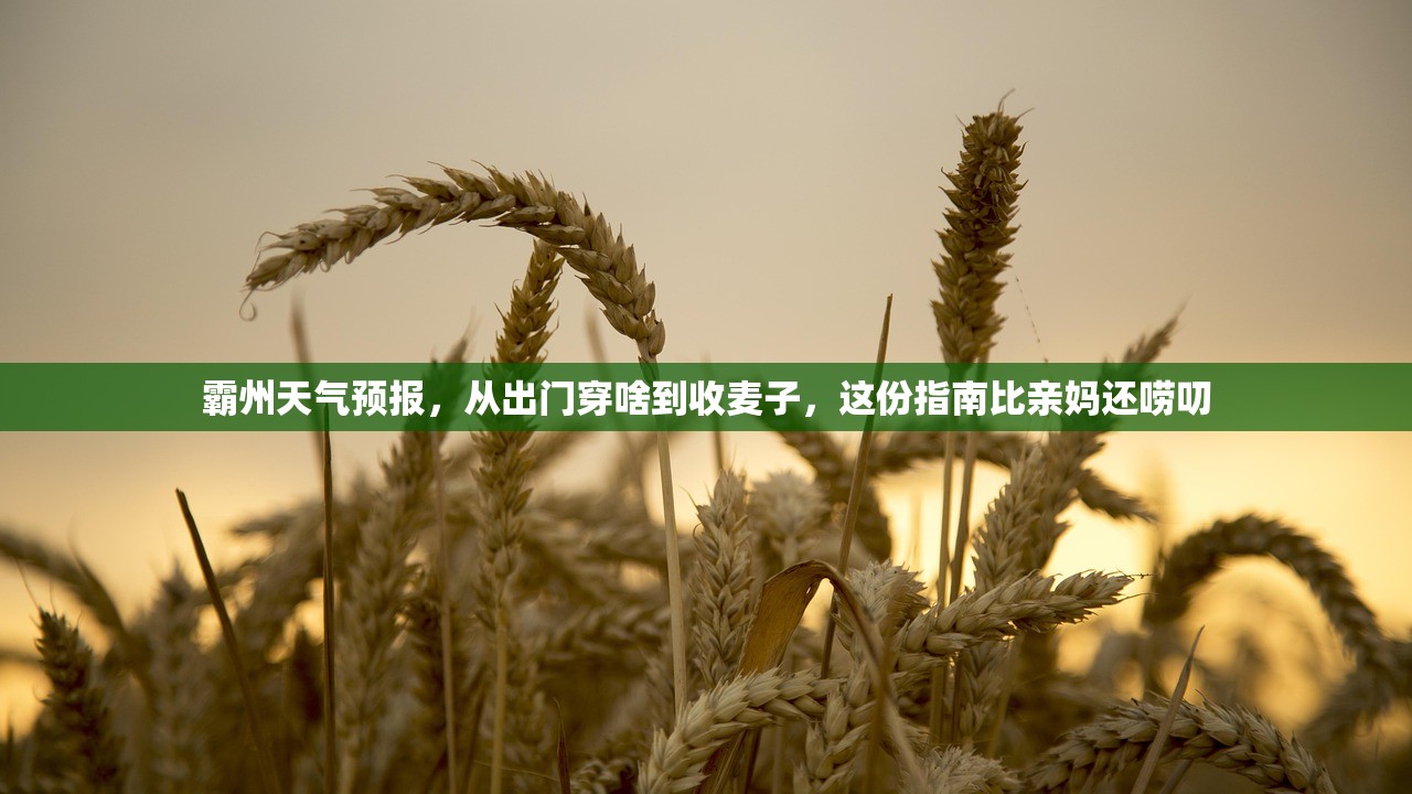 霸州天气预报，从出门穿啥到收麦子，这份指南比亲妈还唠叨