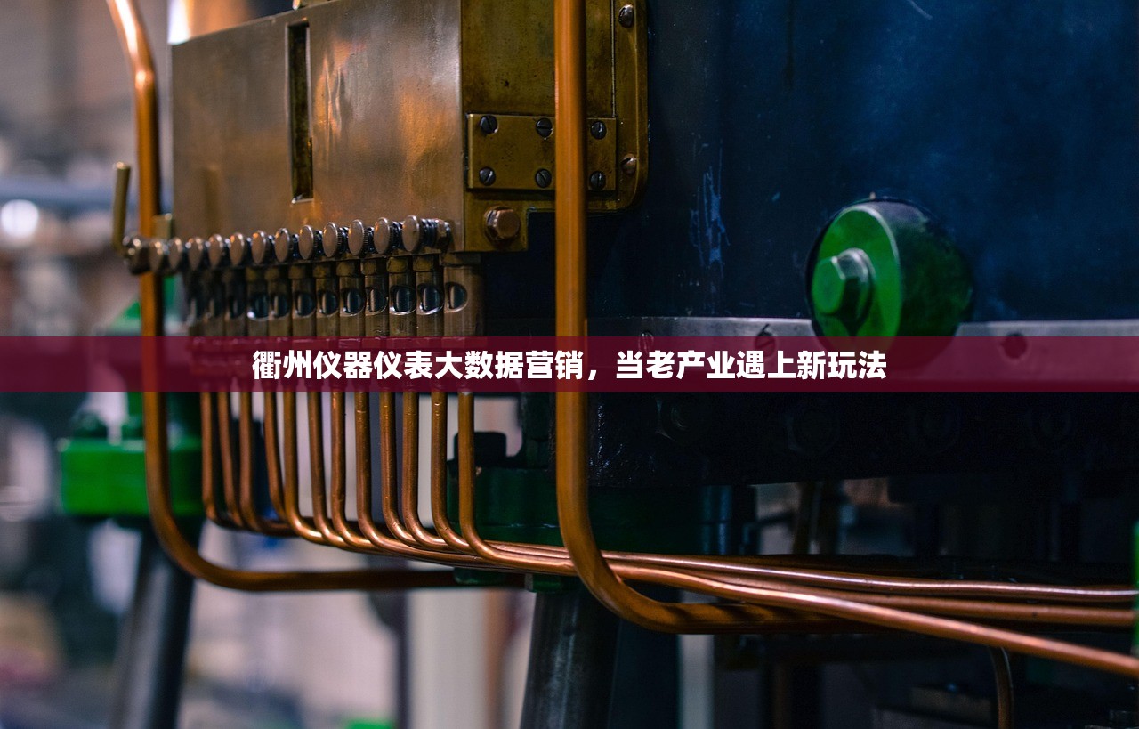 衢州仪器仪表大数据营销,当老产业遇上新玩法 衢州仪器仪表大数据营销,当老产业遇上新玩法