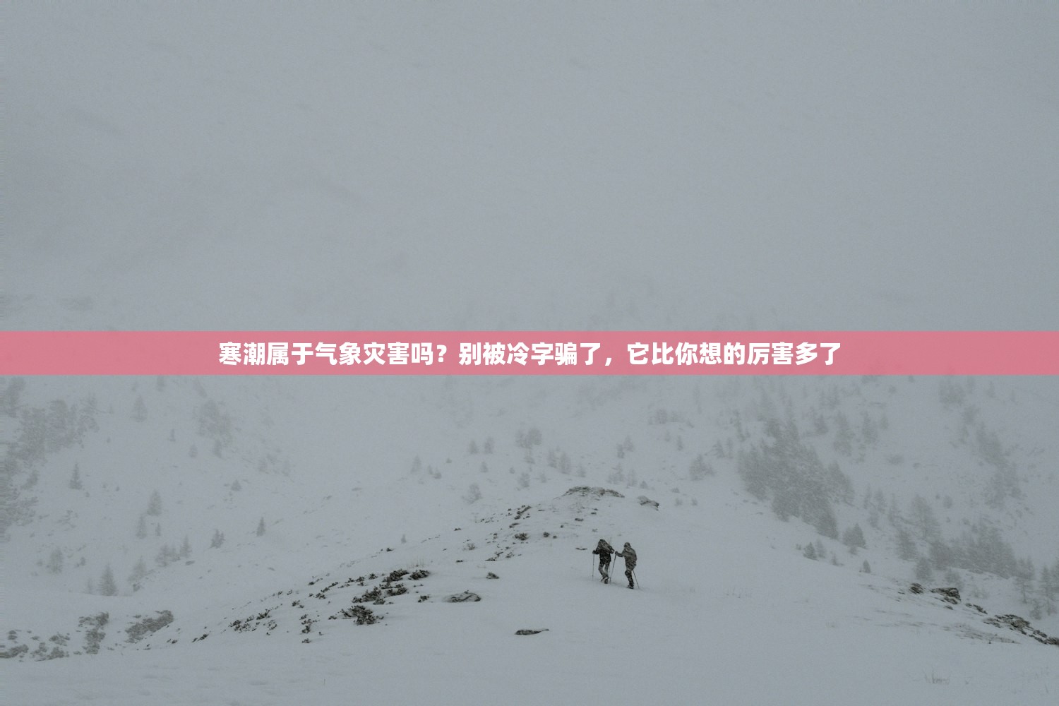 寒潮属于气象灾害吗？别被冷字骗了，它比你想的厉害多了