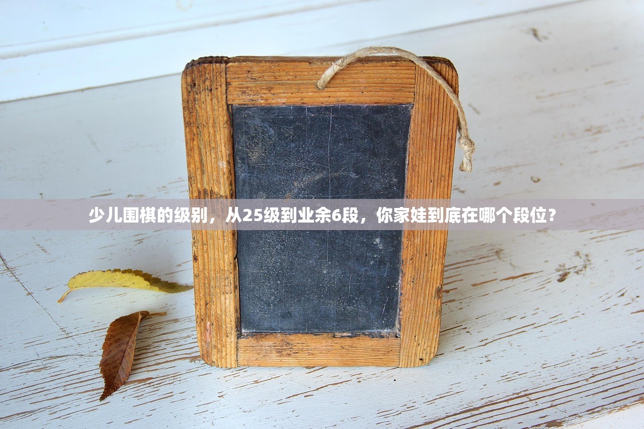 少儿围棋的级别，从25级到业余6段，你家娃到底在哪个段位？