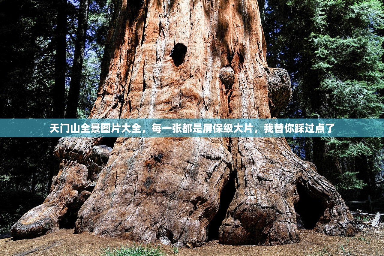 天门山全景图片大全，每一张都是屏保级大片，我替你踩过点了