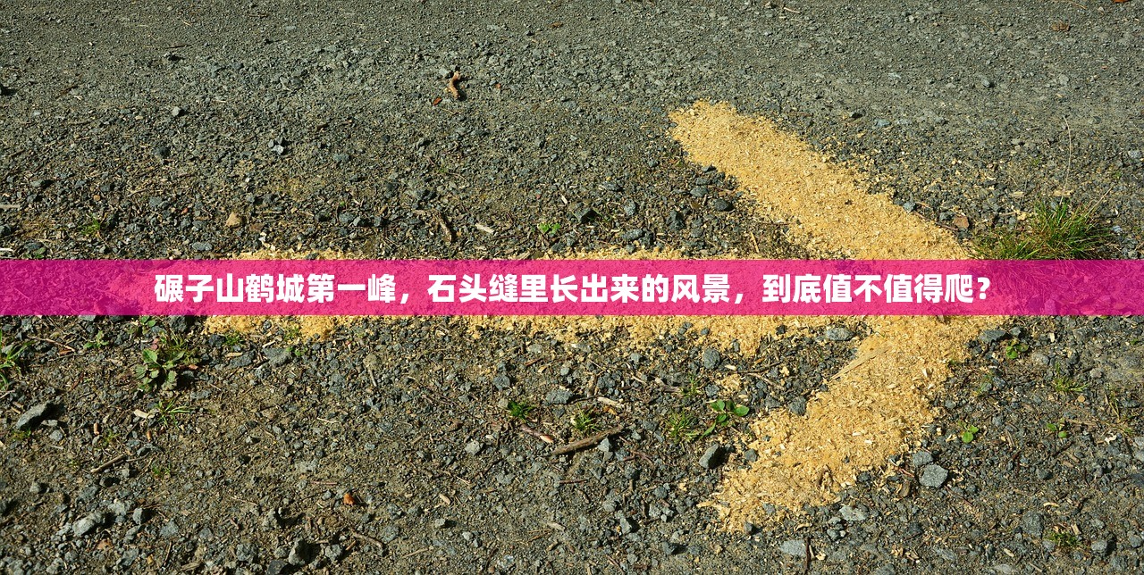 碾子山鹤城第一峰，石头缝里长出来的风景，到底值不值得爬？